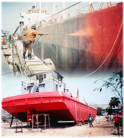 Admiral - Customer Support Services