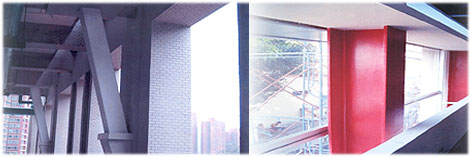 Phoenix - Product Description